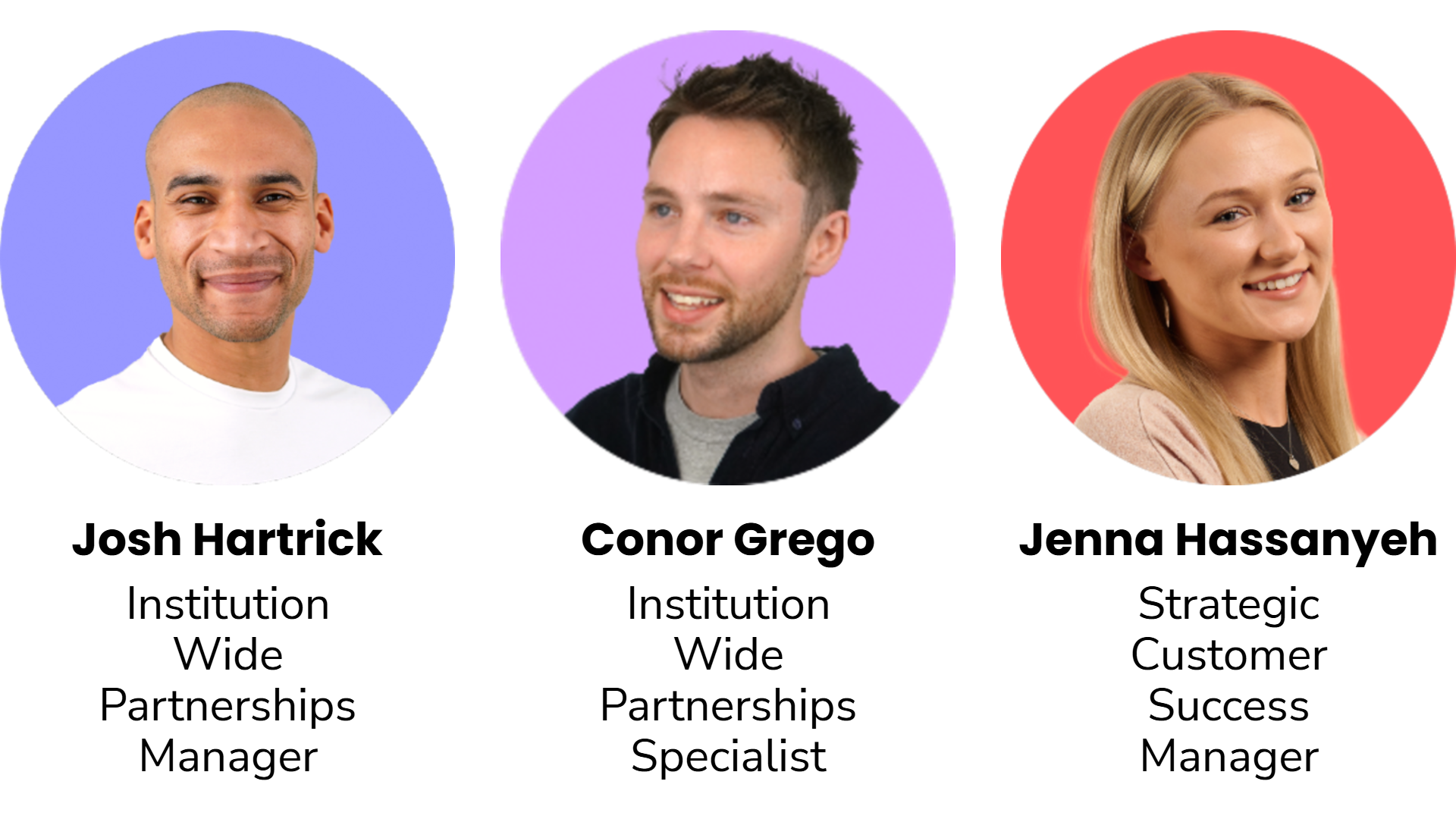 Institution Wide team roles