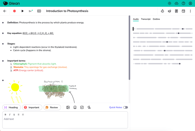 Text Formatting - after