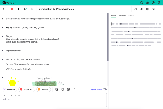 Text formatting - before